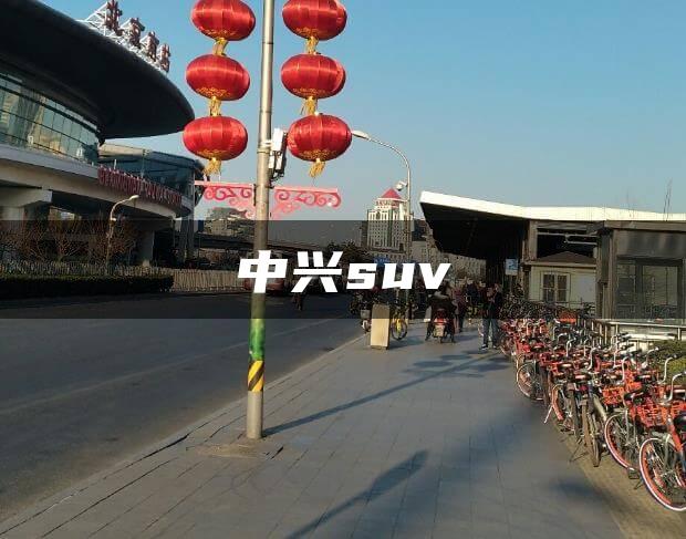 中兴suv