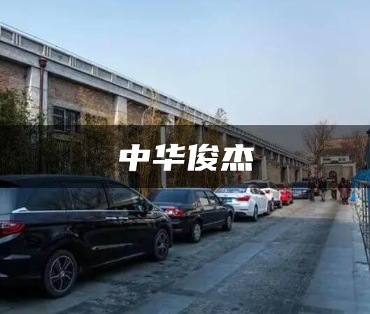 中华俊杰