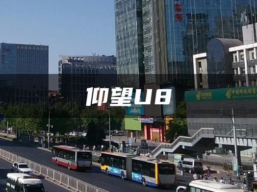 仰望U8