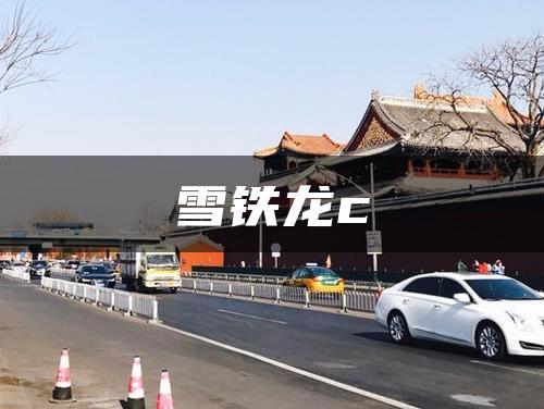 雪铁龙c