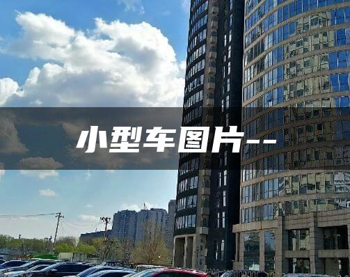 小型车图片–