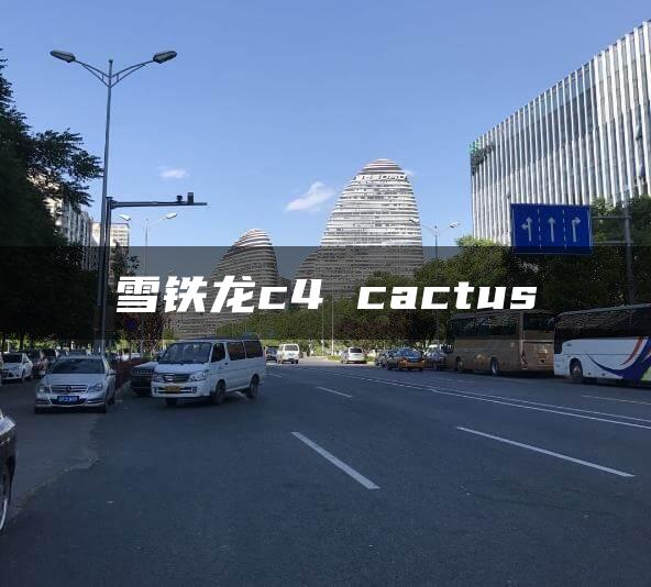 雪铁龙c4 cactus