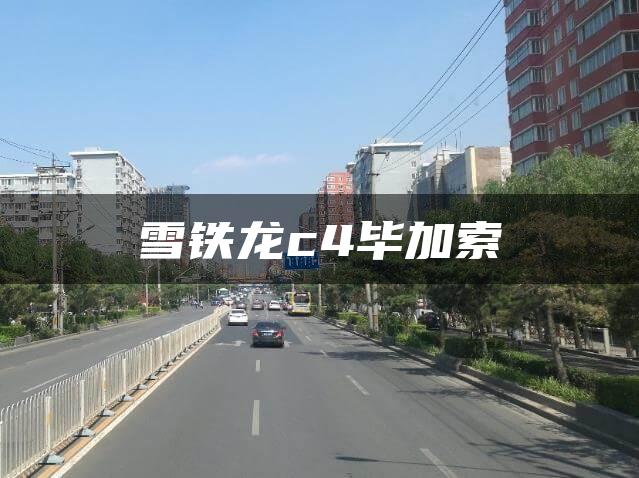 雪铁龙c4毕加索