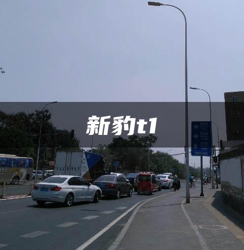 新豹t1