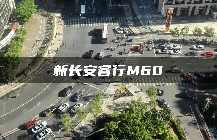 新长安睿行M60