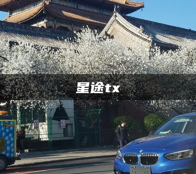星途tx