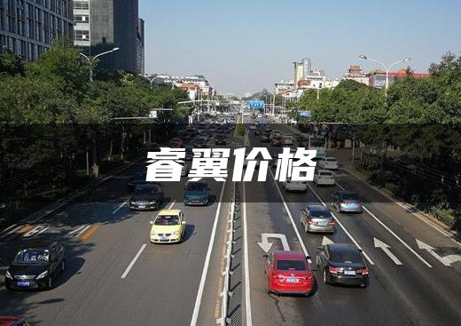睿翼价格
