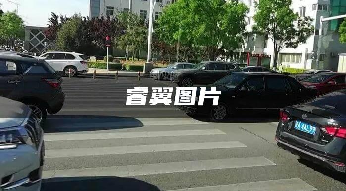 睿翼图片