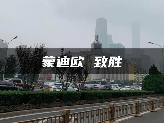蒙迪欧 致胜