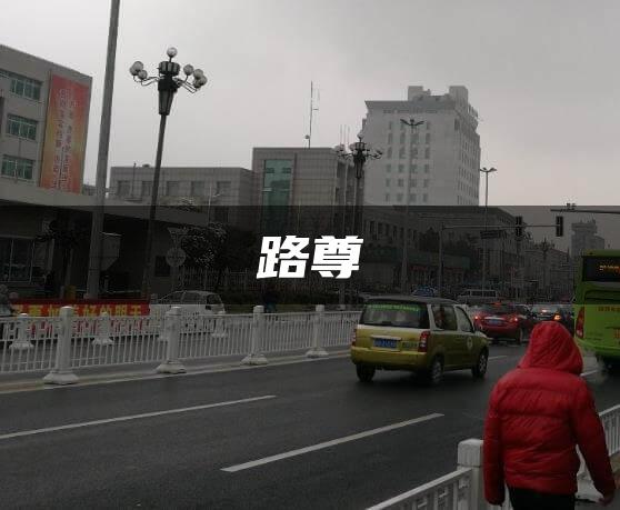 路尊