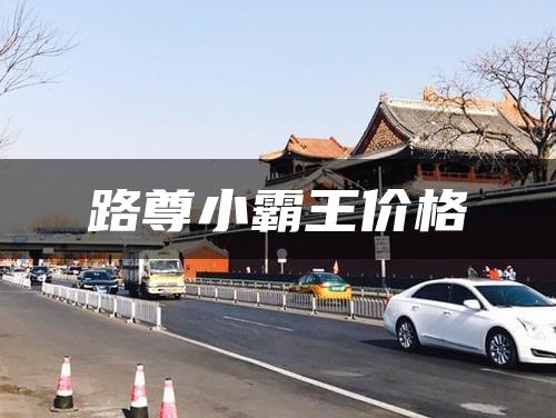 路尊小霸王价格