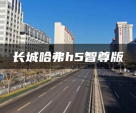 长城哈弗h5智尊版