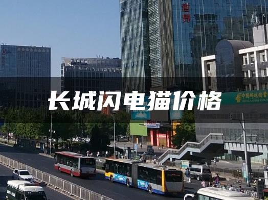 长城闪电猫价格