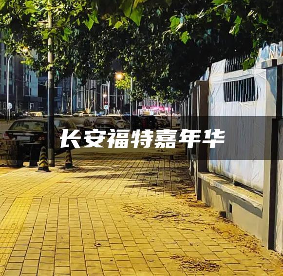 长安福特嘉年华