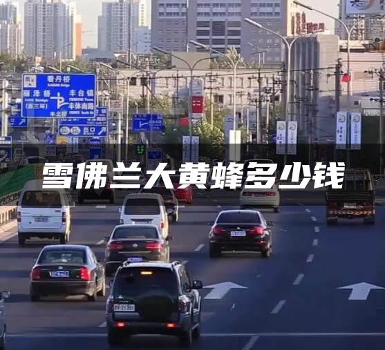 雪佛兰大黄蜂多少钱