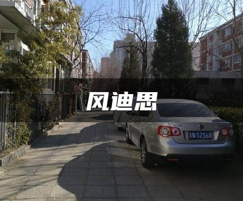 风迪思