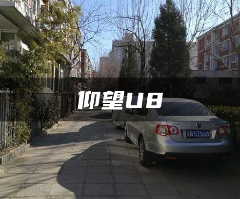 仰望U8