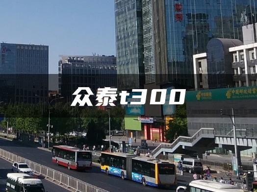 众泰t300