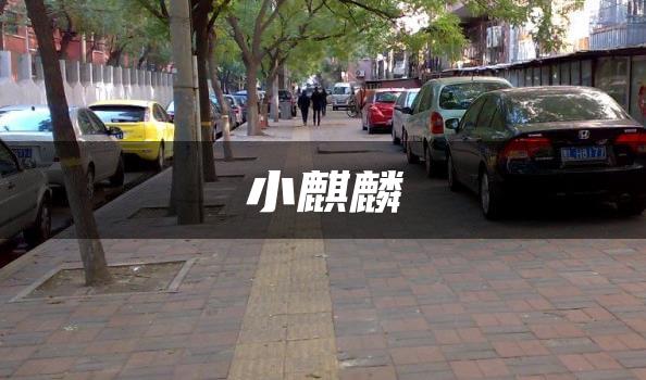 小麒麟