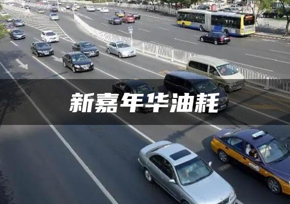 新嘉年华油耗