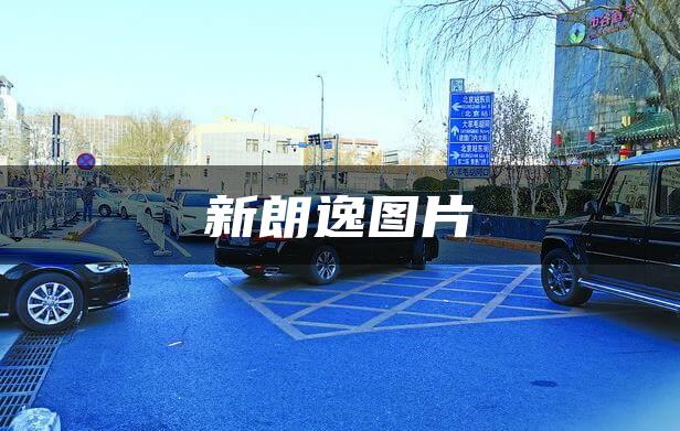 新朗逸图片