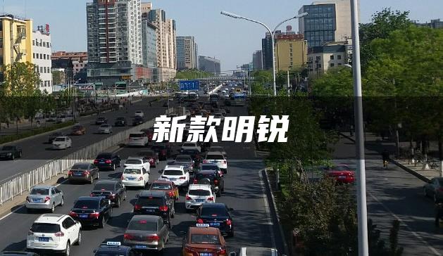 新款明锐