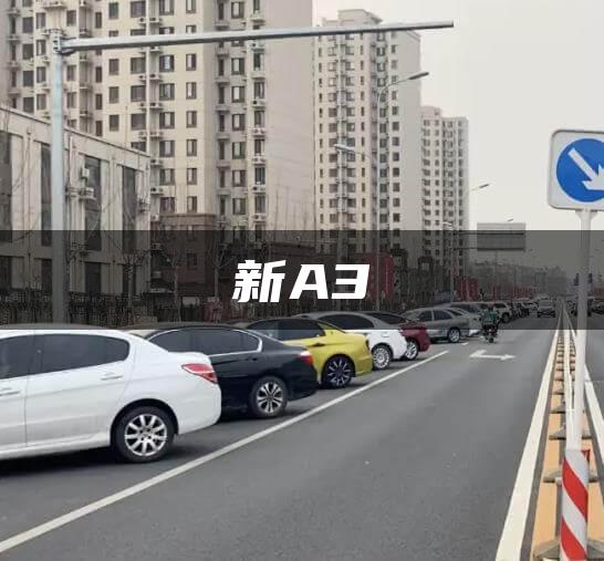 新A3