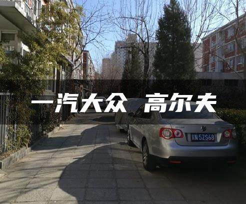 一汽大众 高尔夫