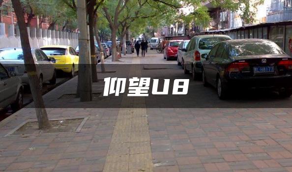 仰望U8