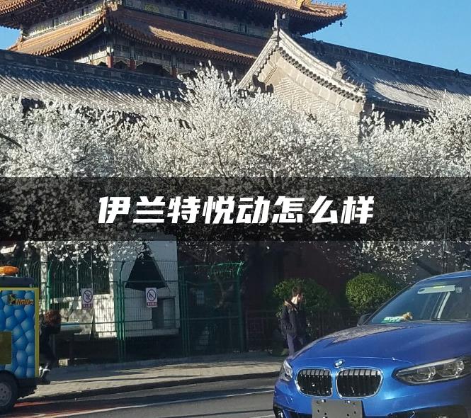 伊兰特悦动怎么样