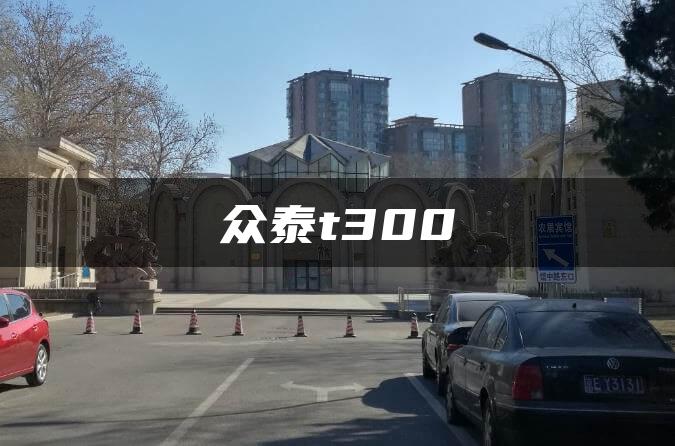 众泰t300