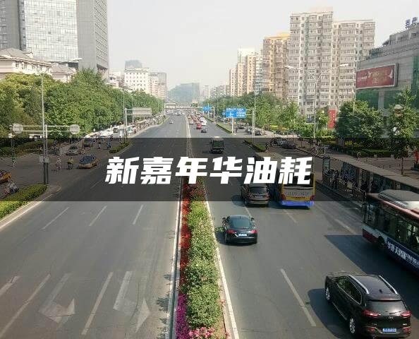 新嘉年华油耗