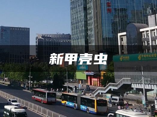 新甲壳虫
