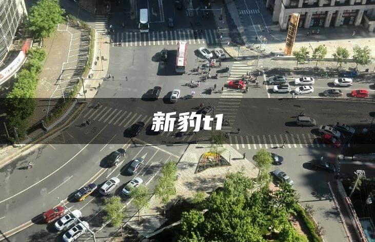 新豹t1