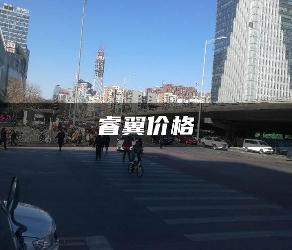 睿翼价格