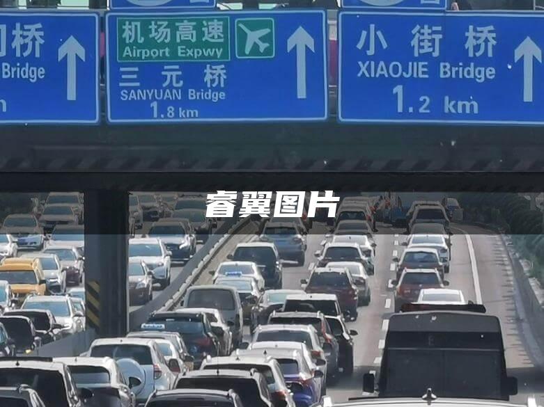睿翼图片