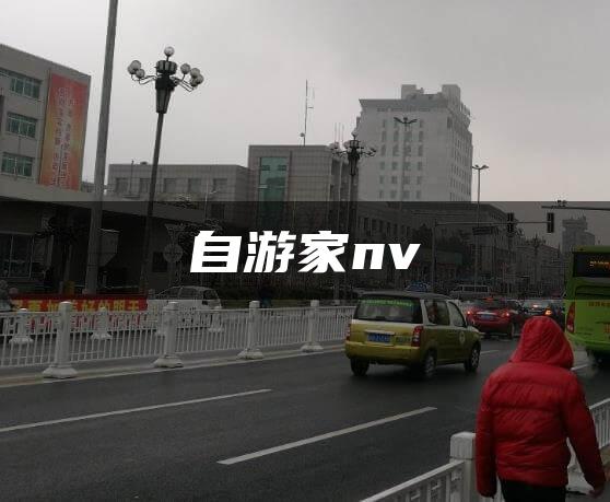 自游家nv