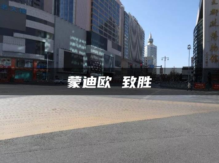 蒙迪欧 致胜