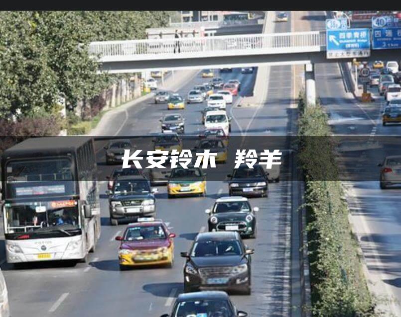 长安铃木 羚羊