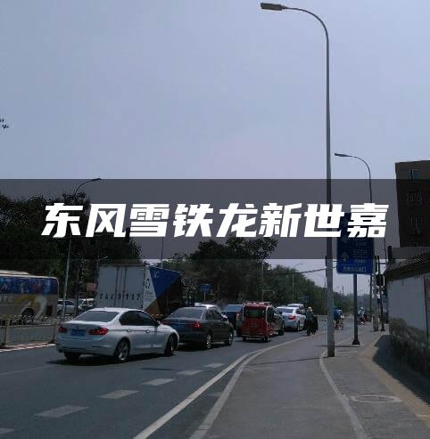 东风雪铁龙新世嘉