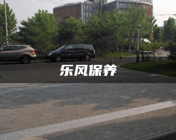 乐风保养