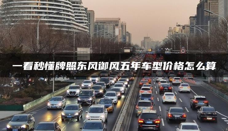 一看秒懂牌照东风御风五年车型价格怎么算