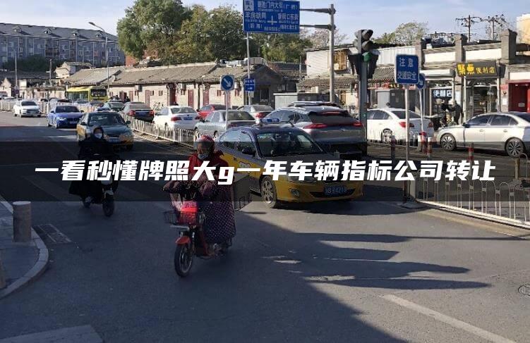 一看秒懂牌照大g一年车辆指标公司转让