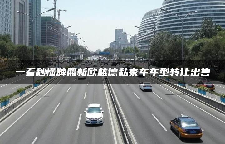 一看秒懂牌照新欧蓝德私家车车型转让出售