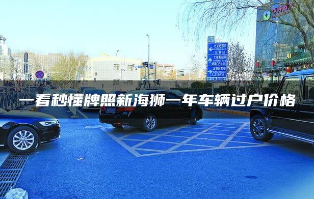 一看秒懂牌照新海狮一年车辆过户价格