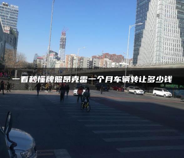 一看秒懂牌照昂克雷一个月车辆转让多少钱