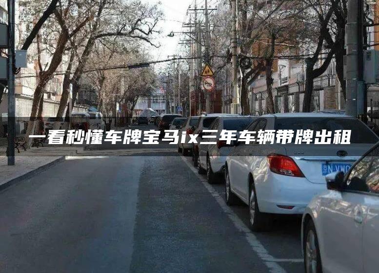 一看秒懂车牌宝马ix三年车辆带牌出租