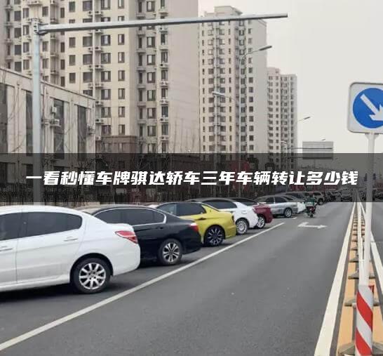 一看秒懂车牌骐达轿车三年车辆转让多少钱