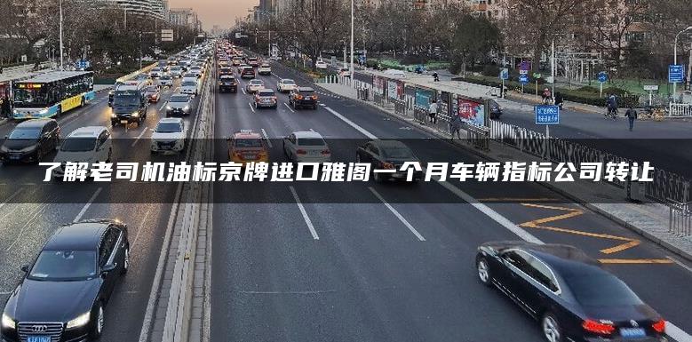 了解老司机油标京牌进口雅阁一个月车辆指标公司转让