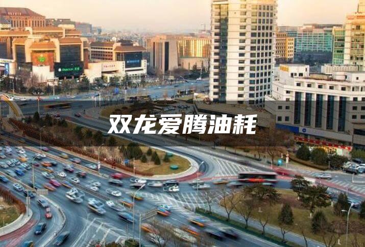 双龙爱腾油耗